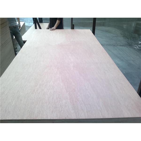 Buy 12mm Bintangor Plywood at wholesale prices