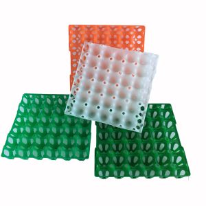 30 Hole PET PVC Plastic Egg Tray For Egg Packaging With Recyclable Material