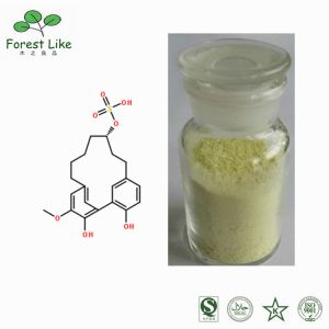 Hot Selling 98% Natural Kaempferol Powder Free Sample