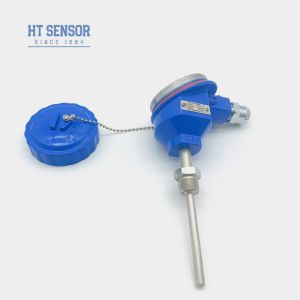 PT100 BT93420-I Temperature Transmitter 4 20ma High Temperature Pressure