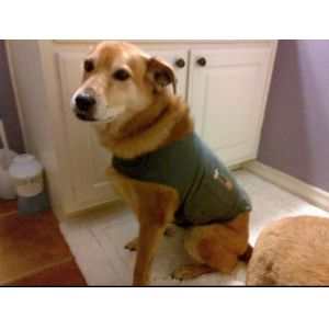 High Quality and Sturdy Rugby Dog Anxiety Jacket