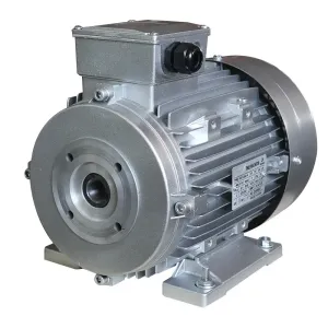 Three Phase 5.5KW Hollow Shaft Electric Motor with 1450 rpm Rated Speed For Pressure Washers