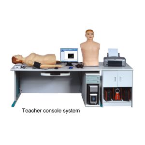 Quality Physical Diagnosis with Heart Lung Auscultation Manikin , Medical Simulation Equipment for sale