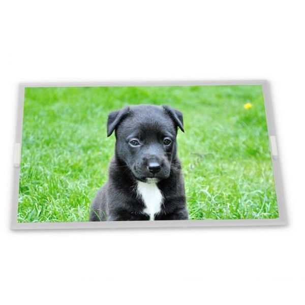 High Resolution 9.0-Inch WLED New and Good LCD Display Module High Definition