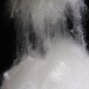 Virgin HOLLOW CONJUGATE 0.9D*25mm