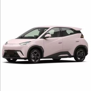2024 BYD Electric Car Seagull Flying Fast Charger Mini 4 Seats Latest Energy