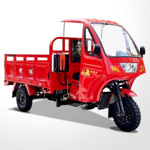 250CC Petrol Gasoline Closed Three Wheels Motorcycle for Heavy Duty Cargo