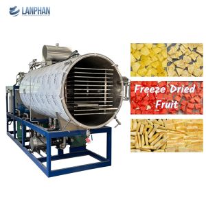 Food Fruits Vegetables Industrial Drying Machine Large Freeze Dryer Machine