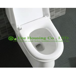 Wc Toilet With Dual Flush Ceramic One Piece , Gravity Flushing Elongated Wall