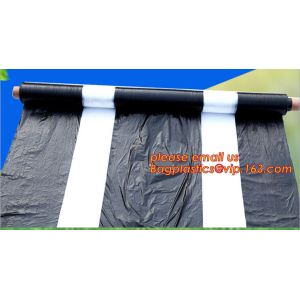 China perforating agriculture mulch film, ventilate anti insect net plastic mulch film,Agricultural Perforated Mulch Film/Pand on sale