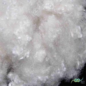 China Non-siliconized Conjugated Hollow Polyester Fibre Coiled Coil 15D White on sale