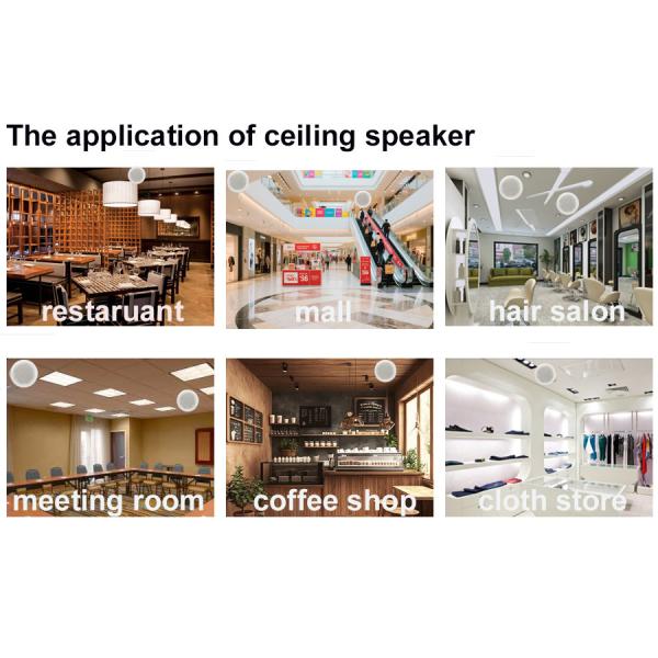 Oval 6 Inch Ceiling Active Speaker ABS Dual Cone 4×10W OEM ODM