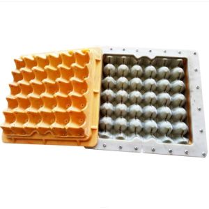 Plastic Or Aluminum Cast Egg Tray Mold For Multi Cavity Production Egg Tray