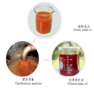 High-Efficiency 10TD Palm Oil Production Line for Cooking Oil Extraction