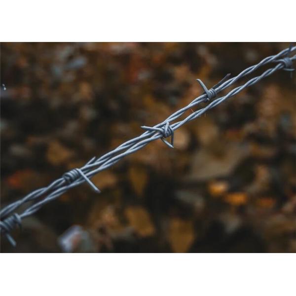 Buy Yard Protection Galvanized Steel Barbed Wire 15mm 14*16 Gauge at wholesale prices