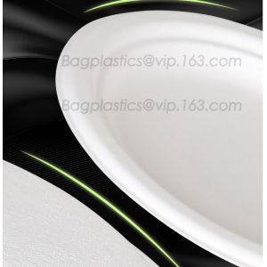 Compostable Clamshell Take Out Food Containers, Natural Disposable Bagasse, Eco