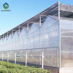 Garden Transparent 12m Flower PC Sheet Greenhouse