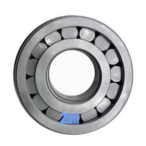 Support OEM Customization Cylindrical Roller Auto Bearing NUPK307NR NUPK308NR