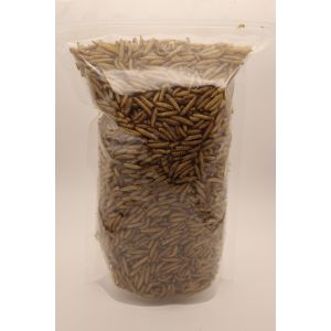 B2B Buyers Delight Nutritious Black Soldier Fly Meal from