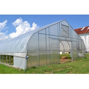 China Agriculture Mushroom Management Greenhouse Planting Vegetables Fruits Single-Span Greenhouses on sale