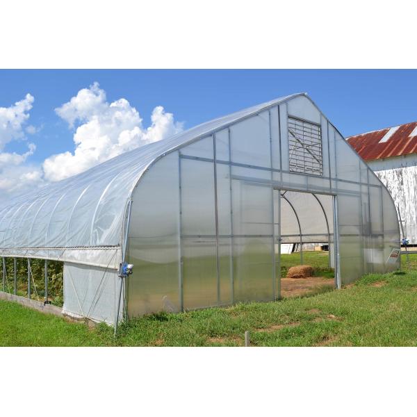 Agriculture Mushroom Management Greenhouse Planting Vegetables Fruits Single