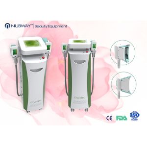 Quality Professional cryolipolysis body sculpture cryolipolysis machine with CE for sale