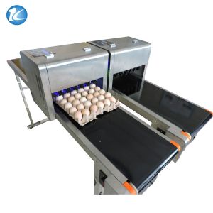 Easy Operation Egg Batch Number Printer , Expiry Date Printing Machine For Eggs