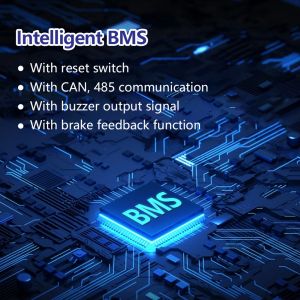 Self Propelled Golf Cart Lithium Ion Customized Agv Lithium Battery