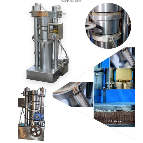 Buy Automatic Sesame Industrial Oil Press Machine With Simple Operation at wholesale prices