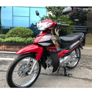 6 Years Manufacturer Electric Motorbike mini moto 110cc cub