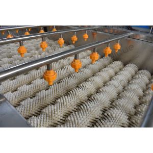 Continuous Vegetable and Fruit Spiral Brush Roller Washer with Cleaning