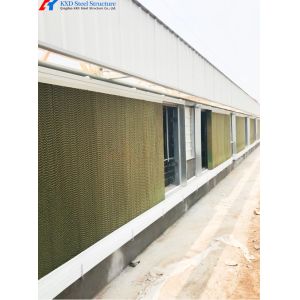 Steel Frame Piggery Shed Construction Long Span Steel Poultry Buildings