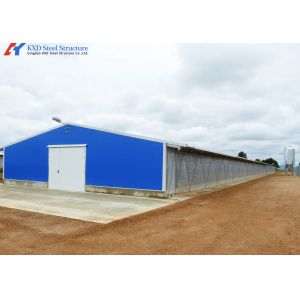Steel Structure Poultry Shed - Fully Automated Chicken Farming Equipment