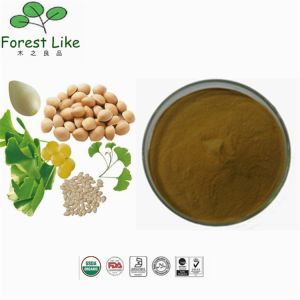 Professional Wholesales Chinese Natural Ginkgo Seed Extract