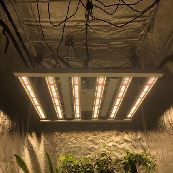 Driver Free Full Spectrum LED Grow Lights 600w Ballast Compatible For Agriculture