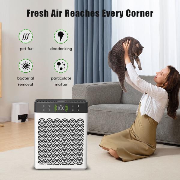 ODM Home Air Purifier Pet Odor Eliminator Machine For Removing Formaldehydes