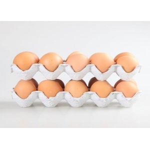 3000pcs/Hour Egg Tray Machine With Molds Computer Software Control