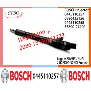 BOSCH injetor 0445110258 33800-27400 Common fuel Injector 0445110258 33800-27400