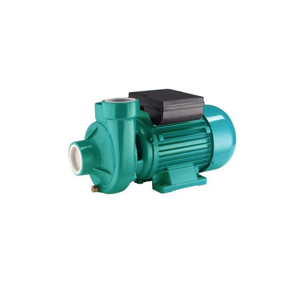Dkm Series Centrifugal Electric Motor Water Pump 0.75hp 110v 60hz For Sewage
