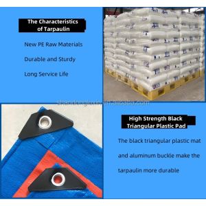 Customized Laminated PE Tarpaulin Plastic Fabric Sheet in Lightweight Stripe