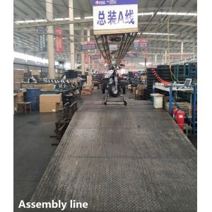 0.38T Motorized Adult Tricycle