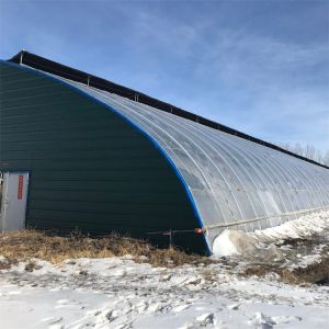 Cold Area Winter Passive Solar Greenhouse Plastic Film Single Tunnel