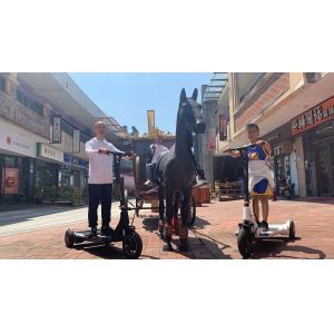 Magnesium Alloy Throttle Handle 25km/h Electric E Scooter