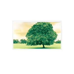 Quality 1600*1200 TDA150-005V01 15.0 inch 60Hz 1000:1 LCD Screen Display for sale