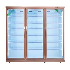 Air Cooling Soft Drink Upright Display Cooler Commercial 220v 60hz