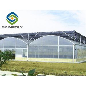Quality Anti Ultraviolet 6m Tomato Plastic Shed Film Greenhouse for sale