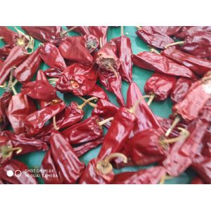 Quality Grade A 3000-5000shu Jinta Chilli Pepper With Sweet Taste for sale