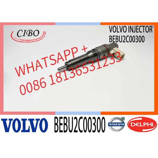 Genuine New Diesel Unit Pump BEBU2C00300,BEBU2C00000,BEBU2C00100,BEBU2C00200,