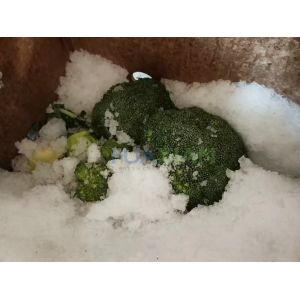 Broccoli Ice Injector Stainless Steel Manual Operation With Ice Machine