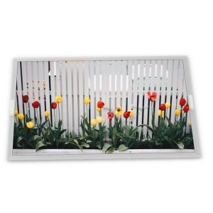 BV050HDM-N00-190H 5 TFT LCD Display Modules orginal highly adaptive Rectangular screen in stock Quality supplier good price